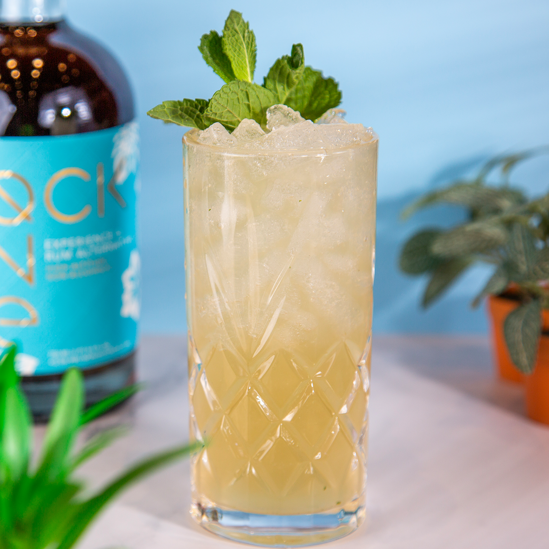 Mojito